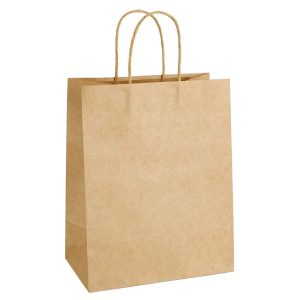 Twisted Handles Paper Bag
