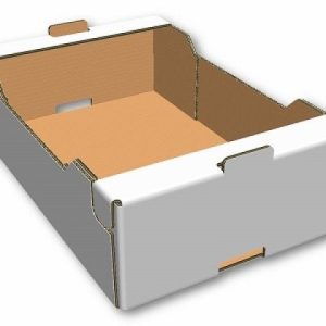 Tray With Platform