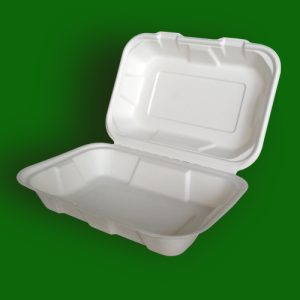Biodegradable Type Lunch Box