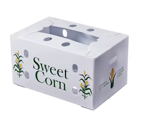 Produce Cartons