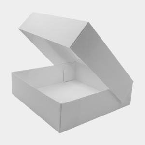 6 Corner Tray